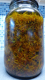 Macérât de Calendula